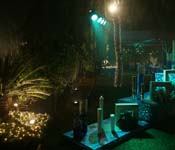 wedding planner in delhi ncr